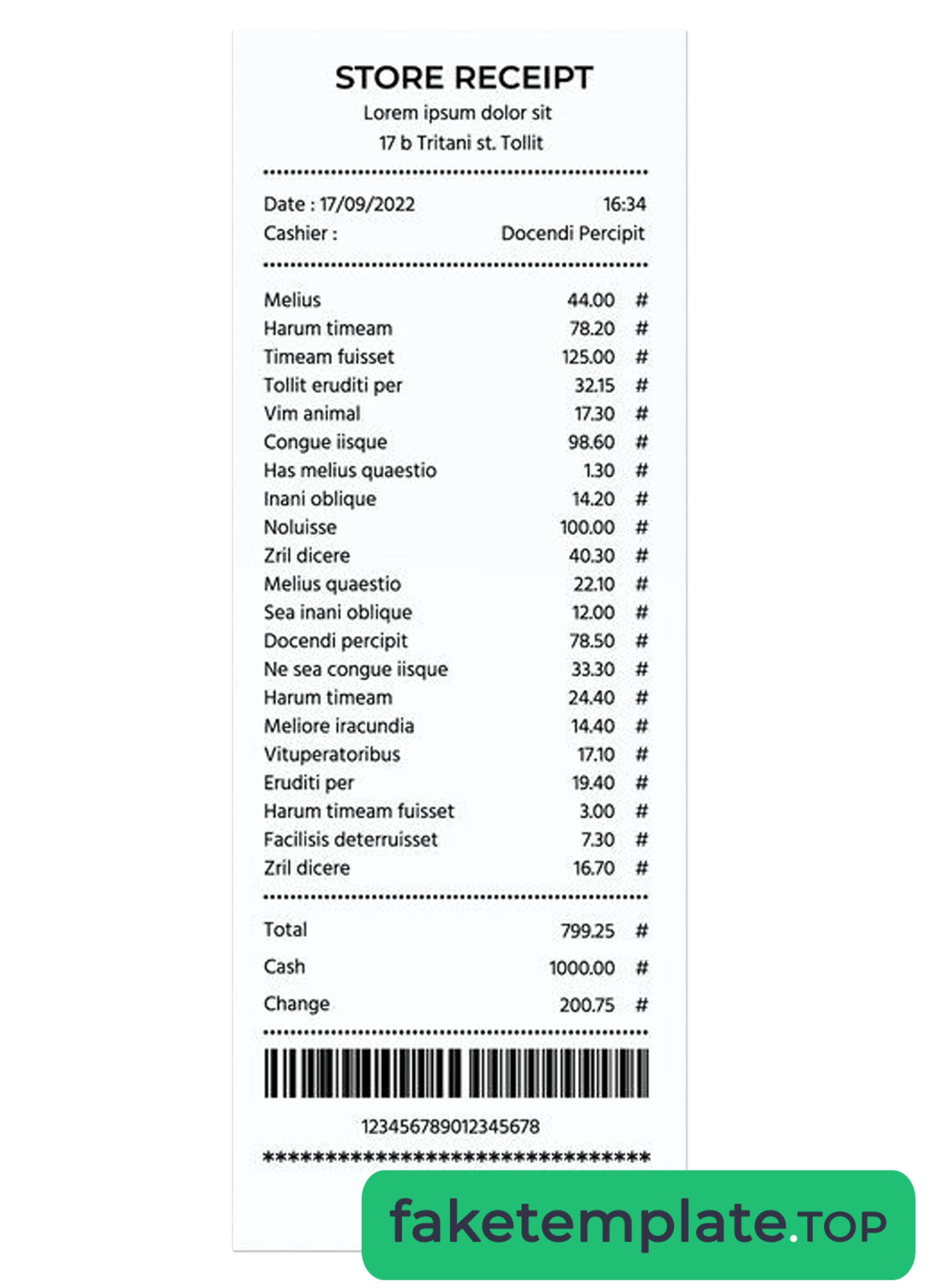 Feature of fake STORE receipt example template